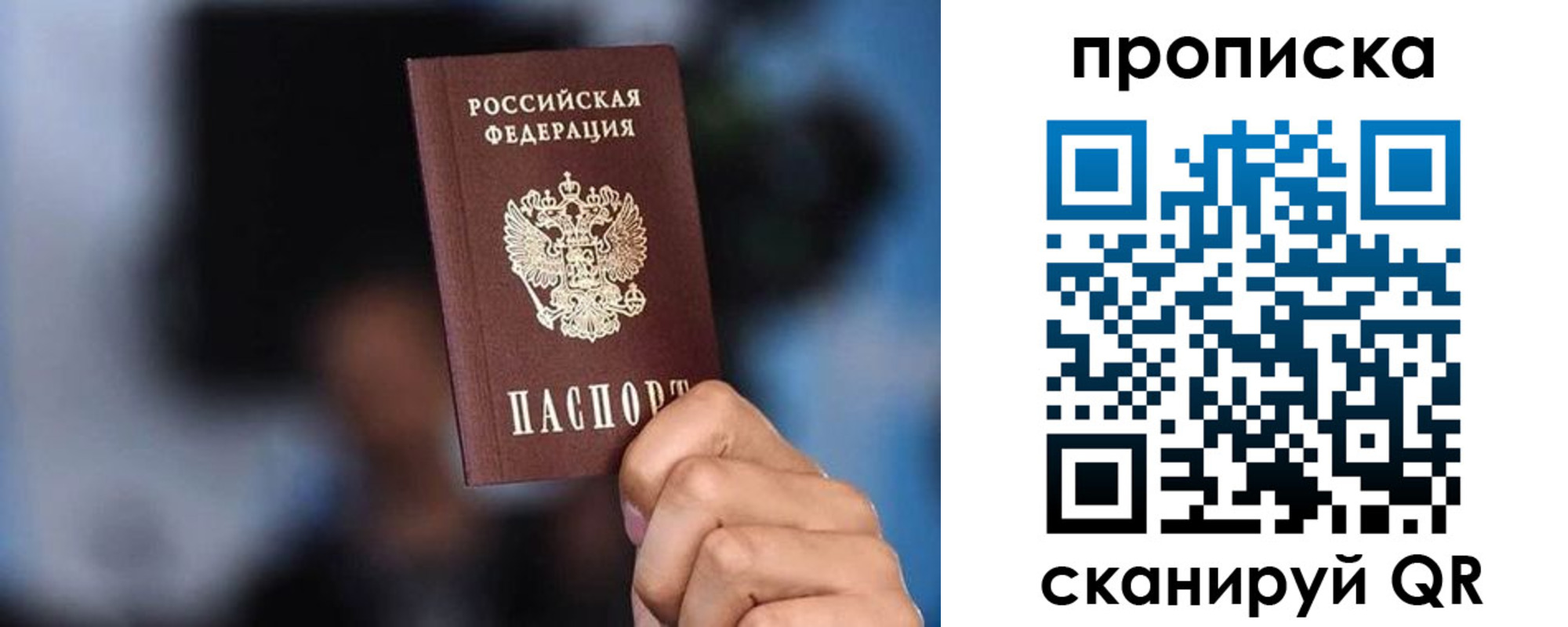 прописка для школы в Волгограде